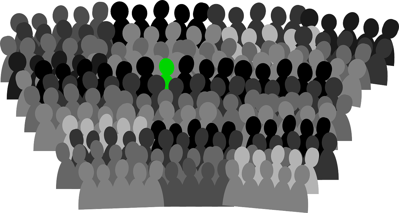 vote, crowd, conference-146962.jpg